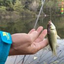 산유낚시터 이미지