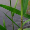 파주환경 이미지