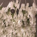 비오페이스의원 이미지