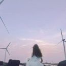 제주의사계 이미지