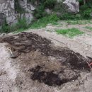 선만농장 이미지