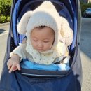 2021024 | 하은이 42주차 ; 산책 걸음마보조기 이유식 자기주도간식? 300일