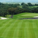 그린필드 컨트리클럽 이미지