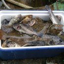 우리바다민박 이미지