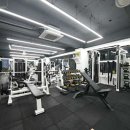 럭키헬스 이미지