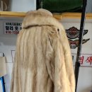 하늘수선 이미지