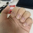 네일바이제이 | 일년째 다니는중!! 네일 자랑하기 (~˘▾˘)~