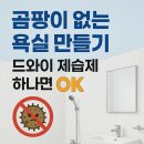드와이