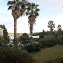 제주카사블랑카 이미지