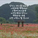 너랑나랑 이미지