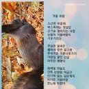 독도해물알찜 (지제역점) 이미지