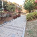 한솔동_첫마을1단지 이미지