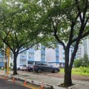 여진1인세신샵 | [포항/유강] 포항 여진1인세신샵 임산부 내돈내산 후기 강추해요
