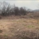 연천부동산공인중개사사무소 이미지