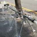 오아시스개발