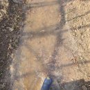 강경농협주유소 이미지