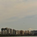 밤섬이야기 이미지