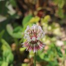 섬진강 둘레길 이미지