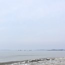 청천호 둘레길 주차장 | 보령 가볼만한곳 청천호 둘레길 + 대천해수욕장 맨발걷기