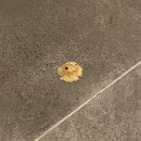 무안 파라다이스 이미지