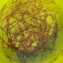 서윤목장 이미지