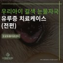 장호원동물병원 이미지