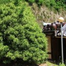 운수암 등산로 이미지