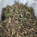 송원사슴 이미지