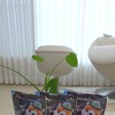 팔백국밥앤비빔밥 | 등산필수템 추천.핫앤쿡 떡라면애밥 짬뽕맛 후기 (백패킹·비화식 필수템)