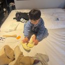 FM마트 | [후쿠오카 호텔] 아기랑 크로스 라이프 하카타 텐진 컴포트 트윈룸 숙박 솔직후기 (+문의 메일)