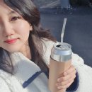 버스정류소_세천동 | 뚜벅이 제주도 2박3일 겨울여행 위미리 동백나무 군락지