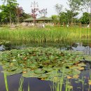 한밭수목원 이미지