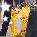 영등포타임스퀘어 이마트 아가방 | [이마트] 노브랜드 추천템 BEST｜영등포 타임스퀘어 이마트 장보기 후기 (내돈내산)