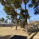 수영강변로2 이미지