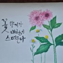 양평 여행, 양평 용문 관광단지 특별한 테마와 즐길거리 알아보기