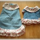 펫 파라다이스 이미지