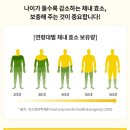 만능효소 이미지