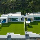 두바이애견풀빌라1 이미지