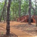 유아숲체험원(2) 이미지