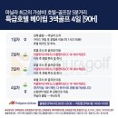 드림여행사 이미지