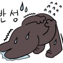 한바다횟집 이미지