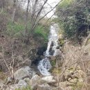 장풍숲위 이미지