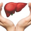 건강 약초 이미지