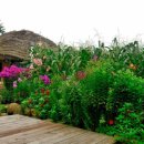 사람사는 집 이미지