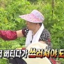 가득한향