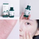 7356 | 올리브영 진정 앰플 추천! 라운드랩 소나무 진정 시카 앰플 솔직후기