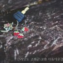 고흥자동차학원