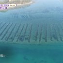 갯내음민박