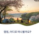 침곡 | 초여름 감성 가득한 5월 캠핑지 추천과 예약 꿀팁