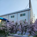 금오초등학교옆공원 이미지